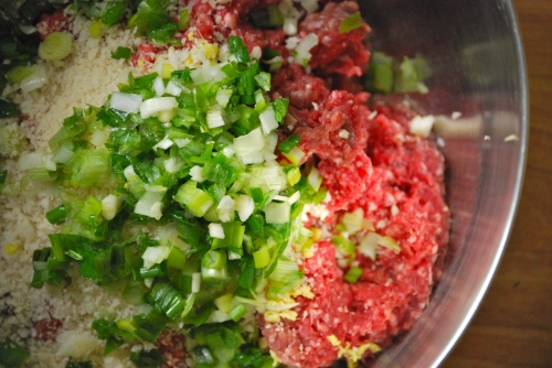 Asian Meatball Ingredients